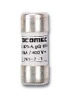 Socomec 170N2299 - Fusible de Alta velocidad 690Vca, 100A, 300kA