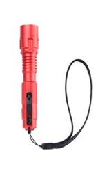 Amprobe FLASH-175